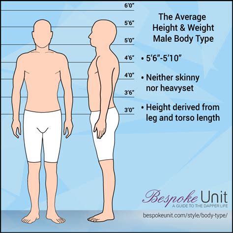 Average Of Body Type At Jesse James Blog