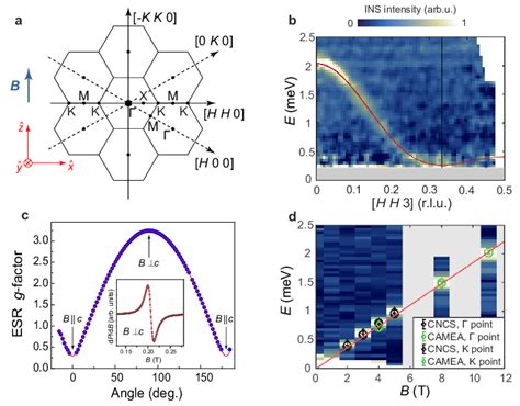 INS And ESR Determination Of The Spin Hamiltonian A Representation Of