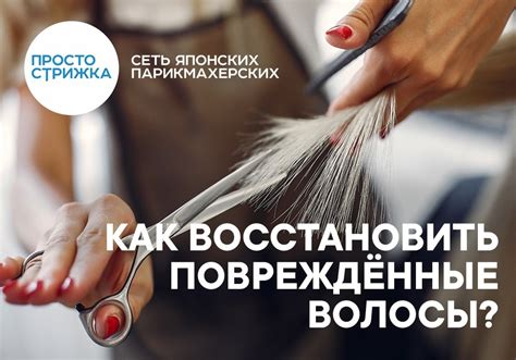 У вас тусклые и ломкие волосы с секущимися кончиками? «Просто Стрижка ...
