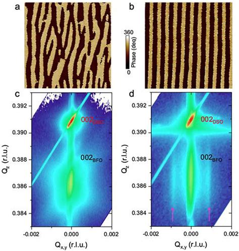 Ferroelectric And Elastic Domains In The Bifeo3 Sample Ferroelectric