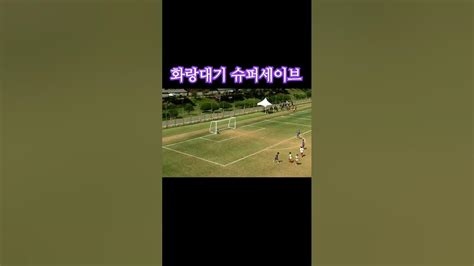 2023 경주 U 11 화랑대기 슈퍼세이브 모음 2012 골키퍼 축구 화랑대기 슈퍼세이브 도도토리 Youtube