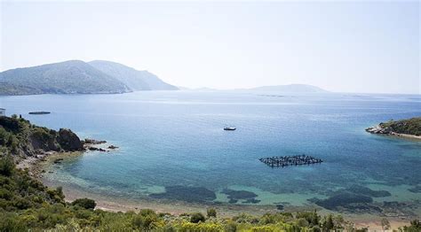 Nergis I Ekleriyle Nl Karaburun Karaburun Gezi Rehberi