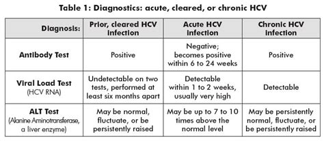 Guide To Hepatitis C For People Living With Hiv