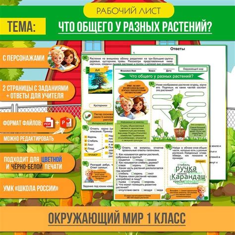 Рабочий лист «Что общего у разных растений?» 1 класс Окружающий мир ...
