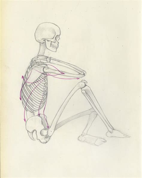 A few more day left to sign up for my "Basic Anatomy" Online Course at