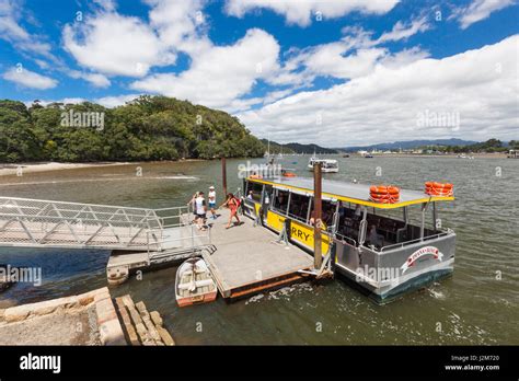 zealand north island coromandel peninsula whitianga ferry