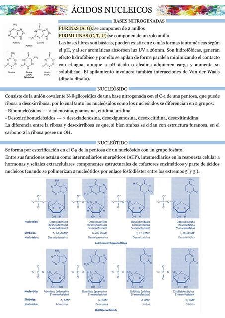 Ácidos nucleicos BIOTECH SG Sofía Gagliardi uDocz