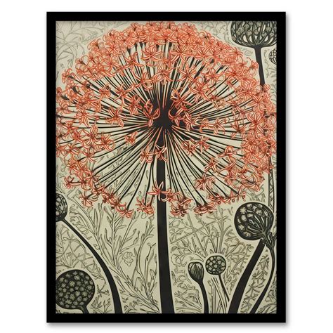 Wall Art & Pictures | Wall Art Print Allium Flower Bloom And Buds Pink