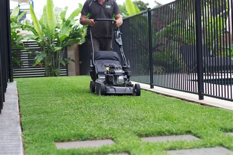 Lawn Mowing Cairns Lawn Mowing Pro Cut Lawns