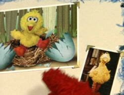 Elmo's World: Babies | Muppet Wiki | Fandom