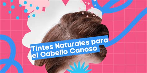 Tintes Naturales para el Cabello Canoso en Fermín Peluqueros