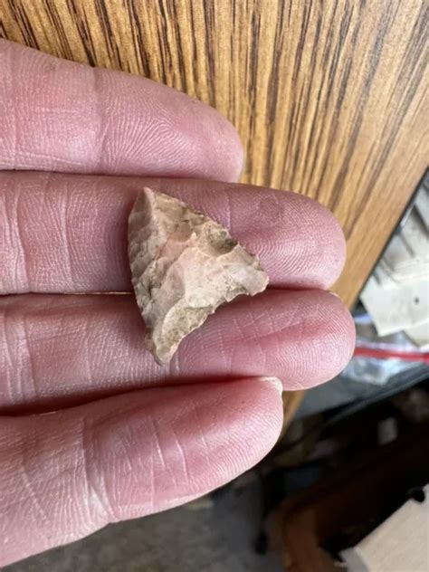 75” Bird Point Arrowhead Native American Indian Artifact Pre 1600