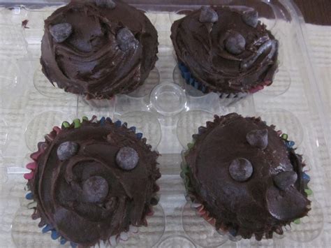 Diabetic Chocolate Cupcakes With Fudge Frosting Recipe | Just A Pinch