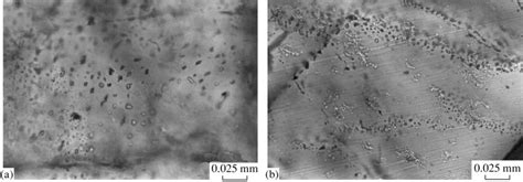 Photomicrographs Of Various Types Of Fluid Inclusions A Monophase