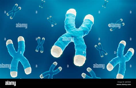 Dna Forschung Genom Chromosomen Fotos Und Bildmaterial In Hoher