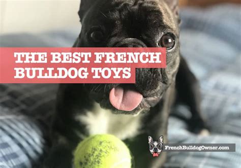 18 Best French Bulldog Toys to Keep Them Entertained All Day