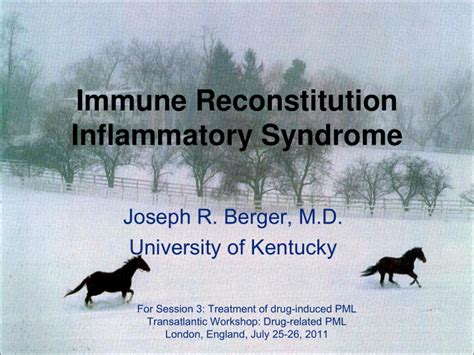 Ppt Immune Reconstitution Inflammatory Syndrome Joseph R Berger M