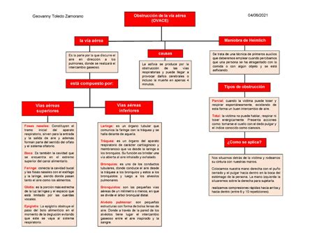 Mapa Mental Ovace