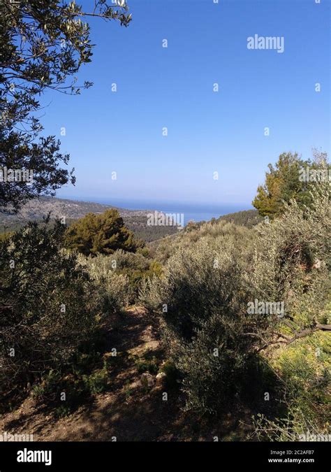 hiking in Soller- Mallorca,Spain Stock Photo - Alamy