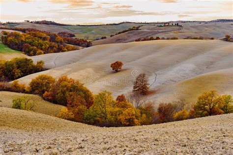 Tuscany Land In Autumn Stock Photo Image Of Farms Autumn