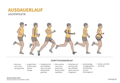 Ausdauerlauf Bzw Joggen Technik Phasen Bewegungsbeschreibung