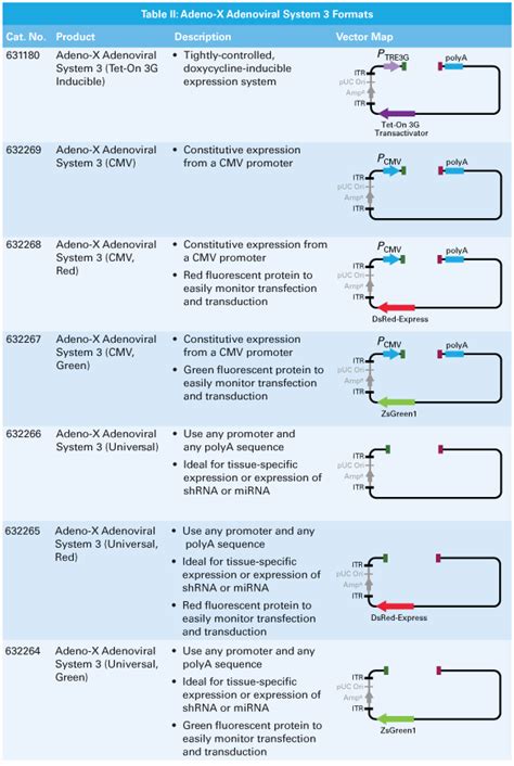 Adeno X Adenoviral System 3