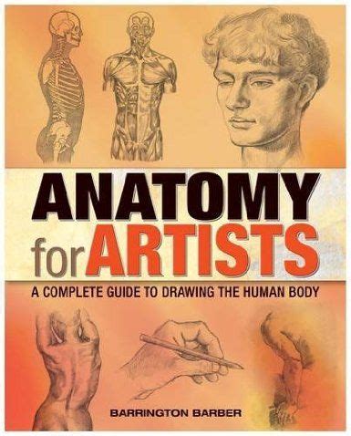 Anatomy For Artists A Complete Guide To Drawing The Human Body