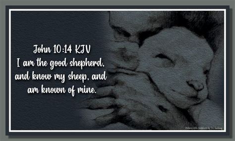 John 10 14 KJV The Good Shepherd John 10 14 Kjv