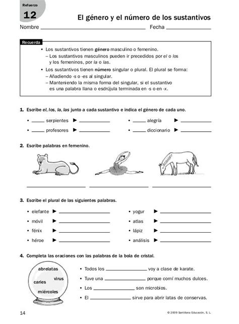 Refuerzo Y Ampliaci N Lenguaje Ejercicios De Sustantivos