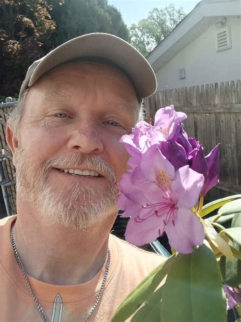 Everything About Growing Pussy Willow Balcony Garden Web