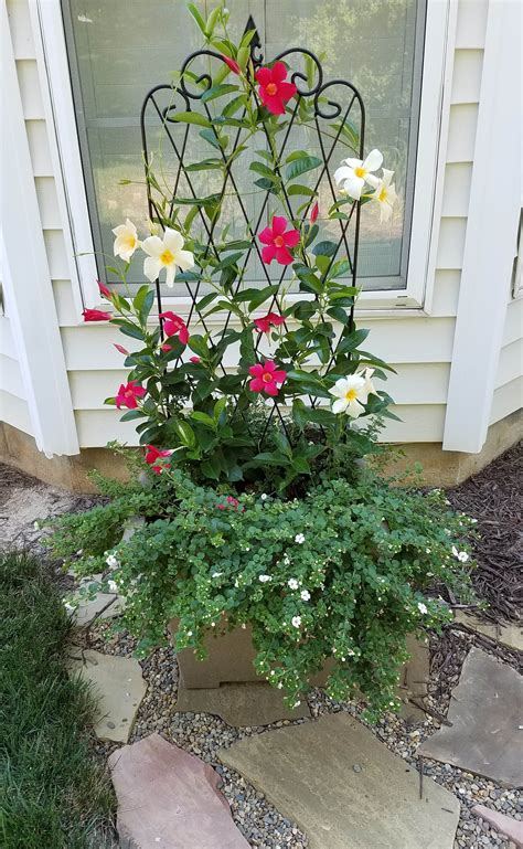 Latest Updates and Shopping News from Official QVC Blogs 19