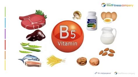 Неделя5-Витамины.12. Витамин В5. Витамин В6.mp4 on Vimeo
