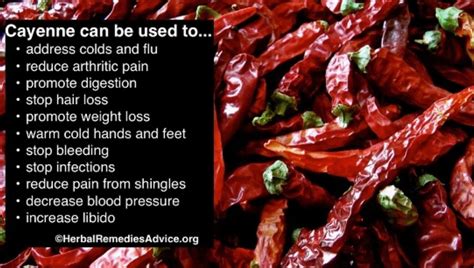 Best Cayenne Pepper For Health Benefits Usage Side Effects Nutrition