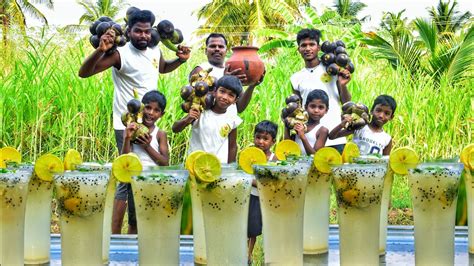 Ice Apple Mojito Summer Special Drink Nungu Banam Nungu Juice Recipe Mojito Recipe Youtube