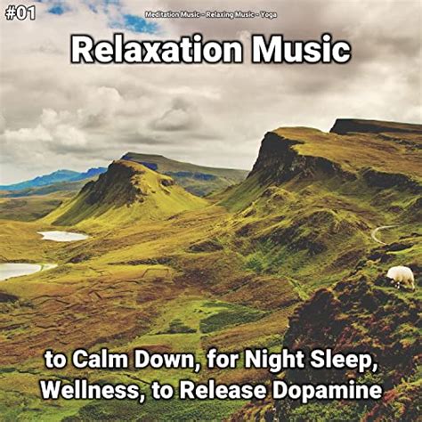 Relaxation Music To Calm Down For Night Sleep Wellness To