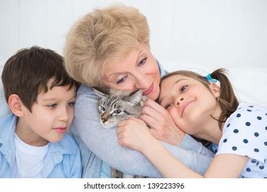 310 Granny Cats Stock Photos, Images & Photography | Shutterstock