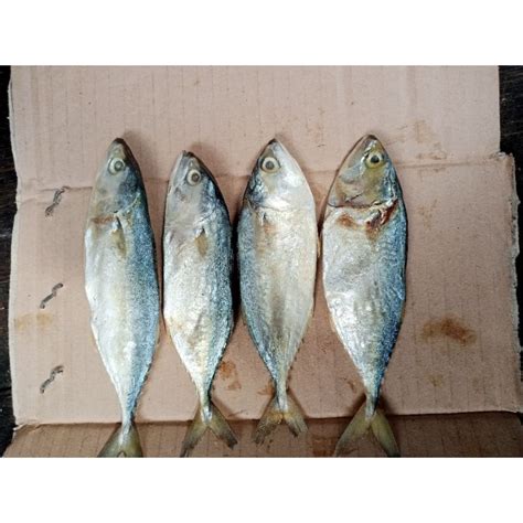 Jual Ikan Asin Peda Putih Kembung 500gram Best Seler Shopee Indonesia