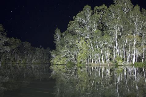 [OC] Dawson River, NSW Australia at midnight [4914x3276] : r/EarthPorn