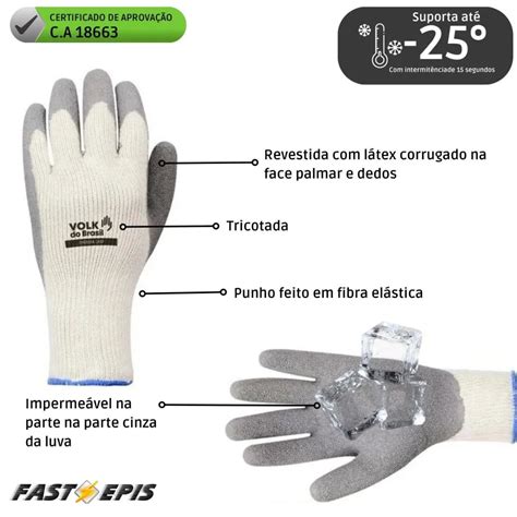 Luva Para Baixa Temperatura - KIT 60 pares Luva para Baixa Temperatura -25º Antiderrapante Therma ...