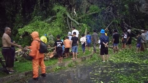 Hujan Deras Disertai Angin Kencang Landa KBB Pohon Tumbang Timpa Rumah