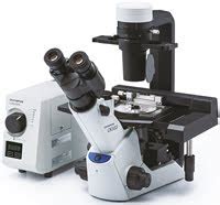 Cell Culture Microscope Olympus Europa SE Co KG Photonics Spectra