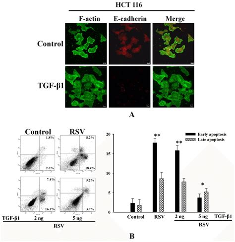 Tgf β1 Inhibits Resveratrol Induced Apoptosis Through The Induction Of