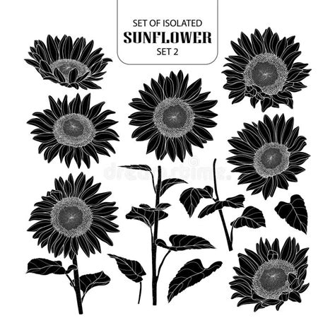 Silhouette Of Sunflower In Vector Eps 10 Stock Vector Illustration Of