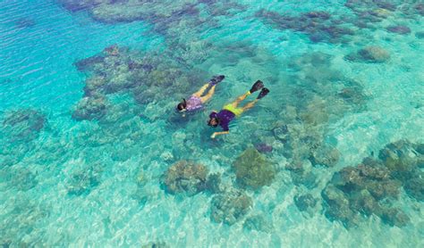 Snorkelling Lessons - Lizard Island Resort