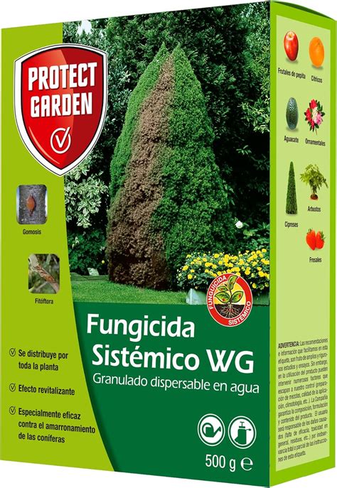 Protect Garden Fungicida Sistémico Aliette Wg Ideal Para Cesped Coníferas Y Cítricos Amazon