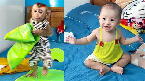 Monkey Kaka's Surprising Intelligence: Helping Mom Care for Baby Diem ...