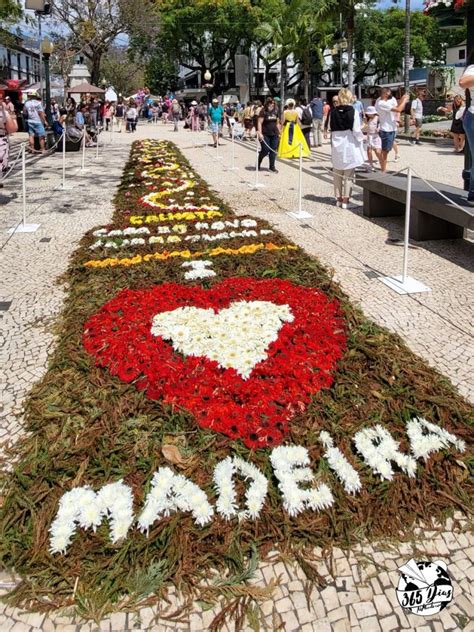 Festa Da Flor Madeira