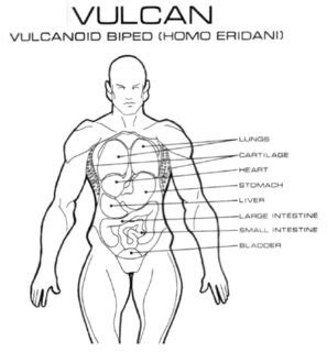 Vulcan Anatomy - Anatomical Charts & Posters