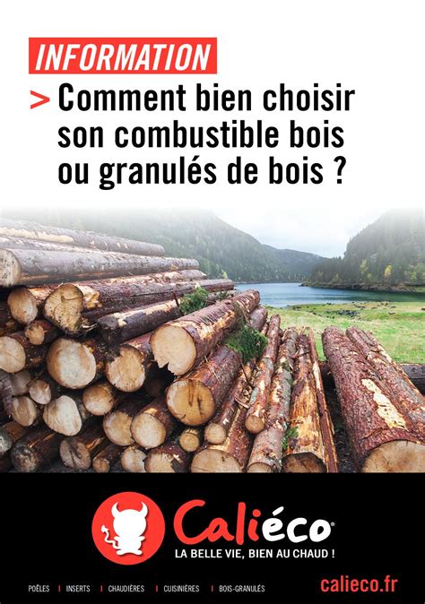 Calam O Guide Comment Bien Choisir Son Combustible Bois Ou Granul S