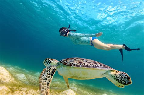 Private Snorkeling Trips | Beach Bum Cozumel